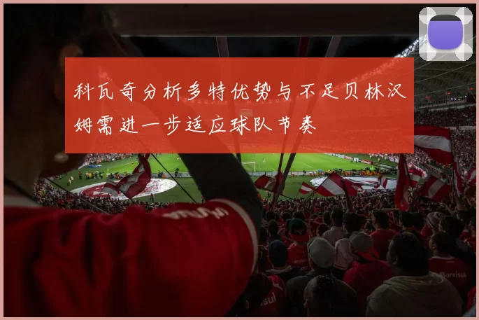 科瓦奇分析多特优势与不足贝林汉姆需进一步适应球队节奏